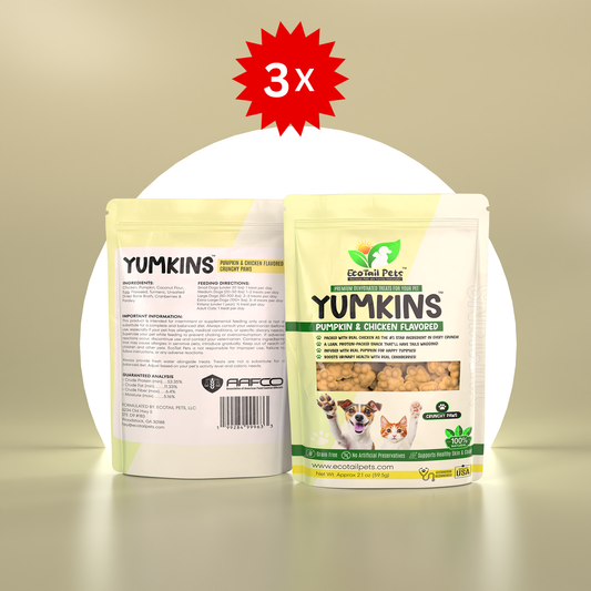 Package of Yumkins brand Pumpkin & Chicken Flavored Crunchy Paws, with three pouches displayed in front of a neutral background.