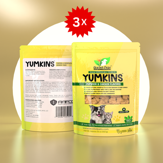 Three packages of Yumkins brand pumpkin and chicken flavored treats for cats and small dogs, with an image of the treats and a cat on the packaging.