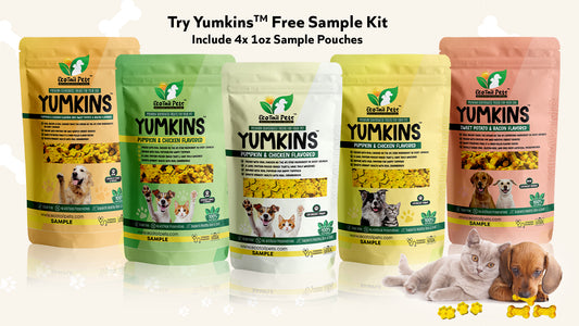Collection of Yumkins pet treat sample pouches with a cat and dog.