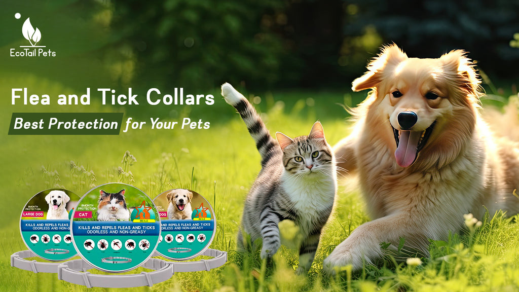 Flea and Tick Collars – Best Protection for Your Pets