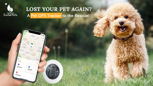 Lost Your Pet Again? A Pet Dog Cat Smart GPS Tracker to the Rescue!