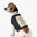 Cute Halloween Costume Pet Tank Top Printify