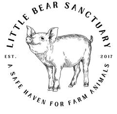 Little Bear Sanctuary